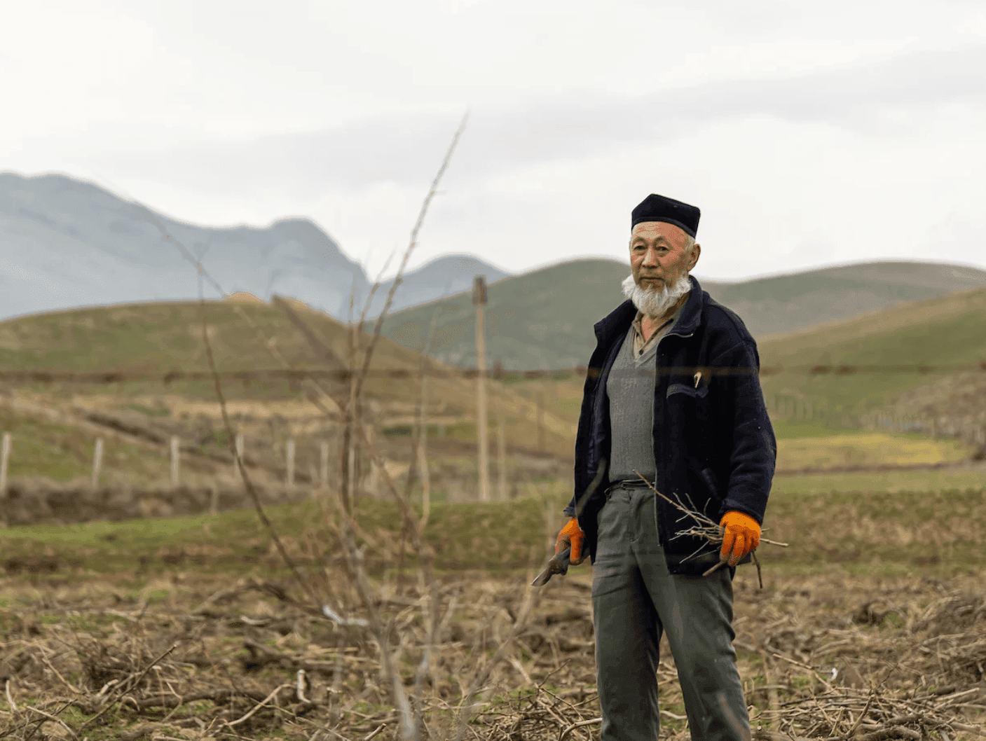 Uzbek farmer in field