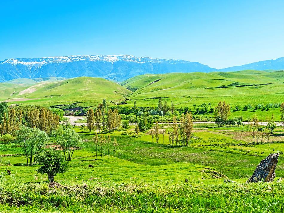 The green foothills in Pamir-Alay Mountains, Uzbekistan. Photo: efesenko/Adobe Stock