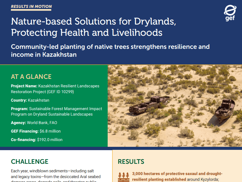 Cover of GEF publication