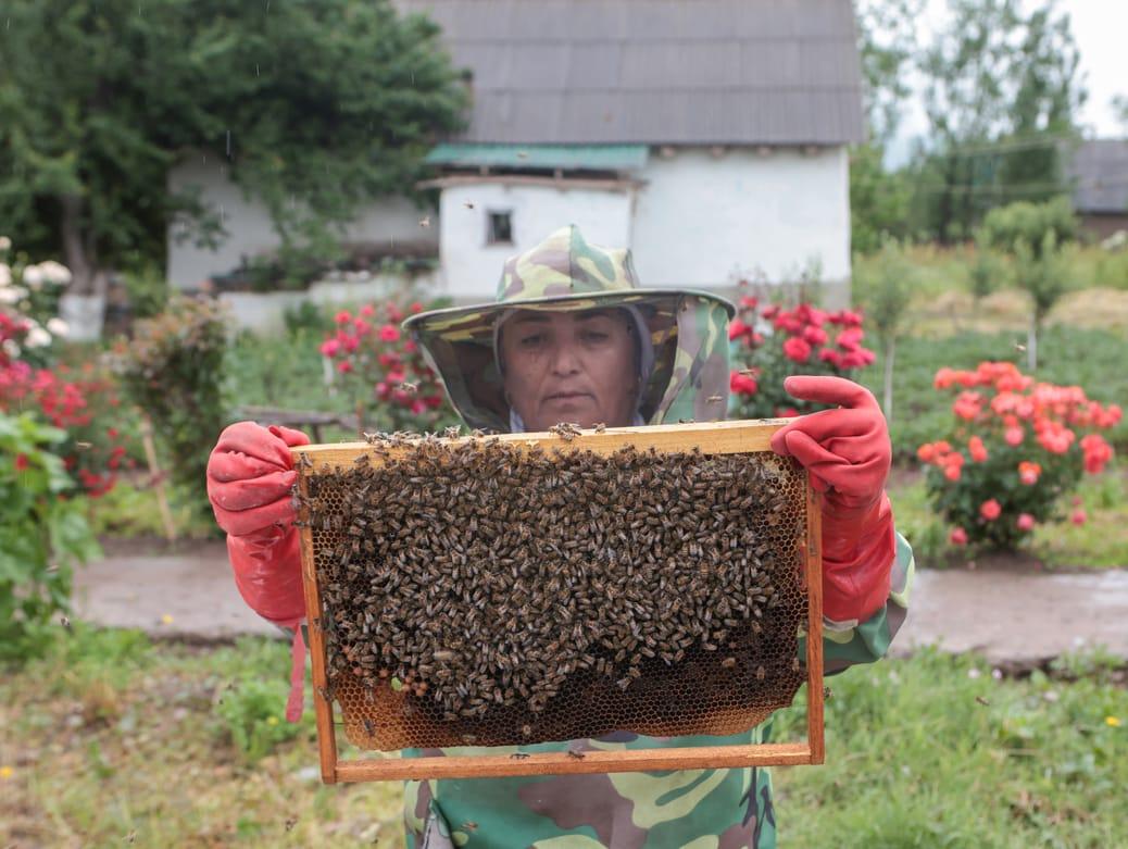 Woman holding bees and honey