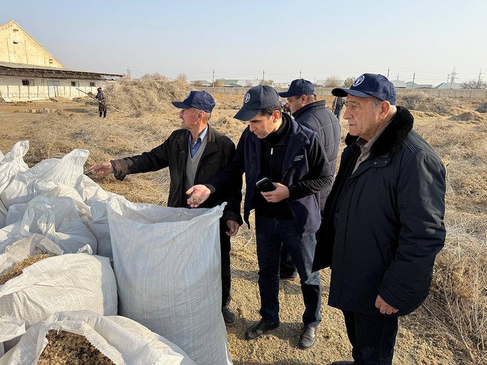 People inspecting bags of grain