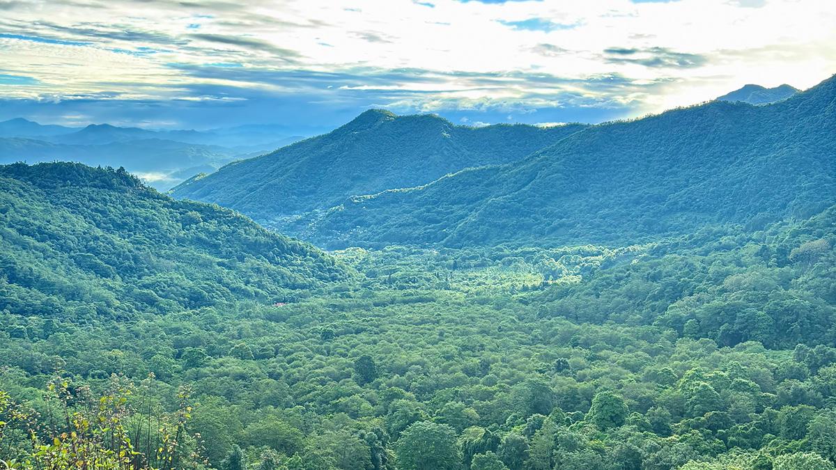 Landscape photo of forests and mountains